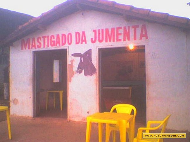 mastigado-jumenta